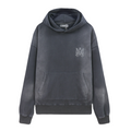 Amr Polychromatic Hoodie