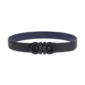 Monochromatic Belt