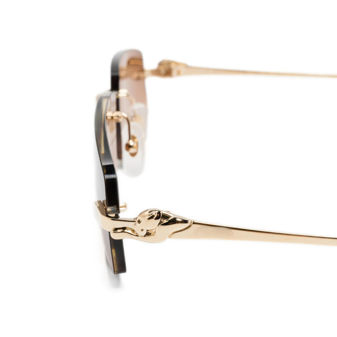 Monochromatic Sunglasses